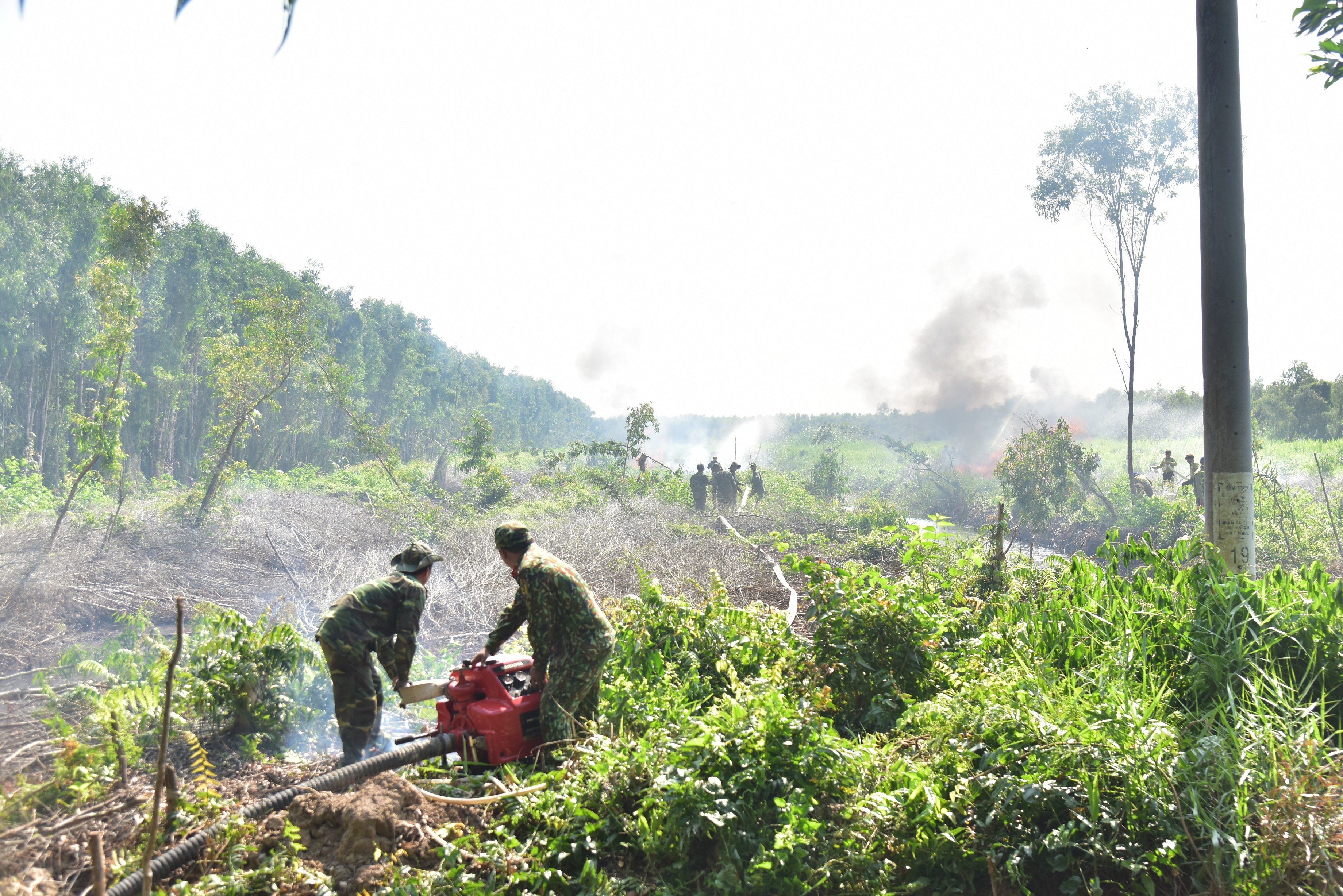Dồn sức phòng, chống cháy rừng mùa khô hạn